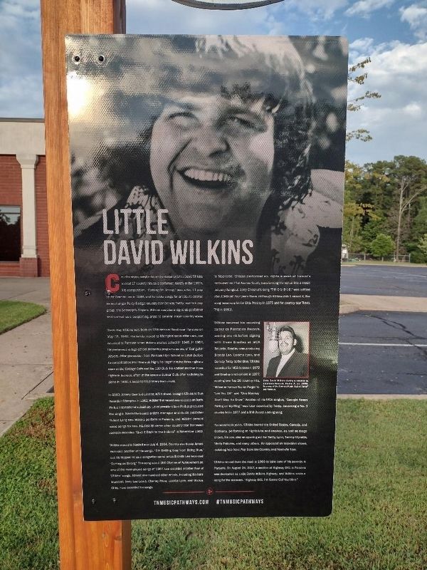 Little David Wilkins Marker image. Click for full size.