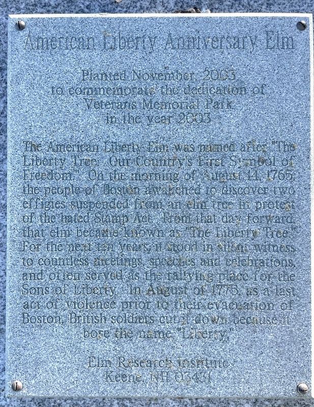 American Liberty Anniversary Elm Marker image. Click for full size.