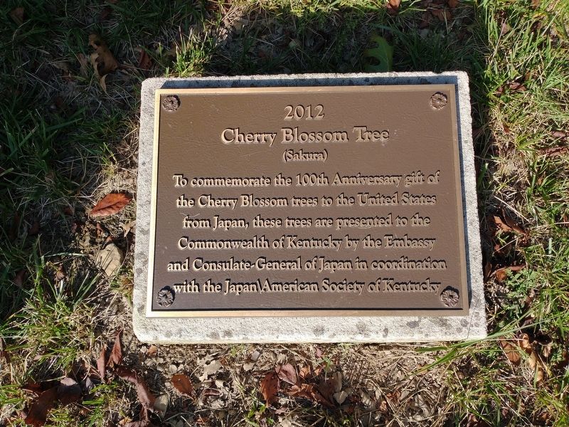 Cherry Blossom Tree Marker image. Click for full size.