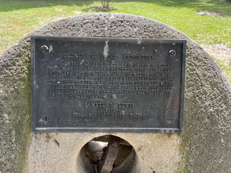 George E. Stine Arboretum Marker. Click for full size. George E. Stine Arboretum Marker image. Click for full size.