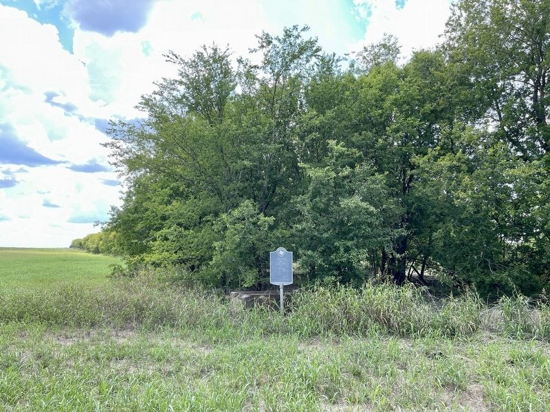 Hammel's Branch Marker image. Click for full size.