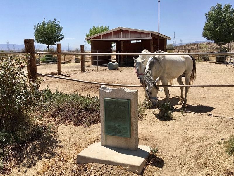 Willow Springs Marker. Click for full size. Willow Springs Marker image. Click for full size.