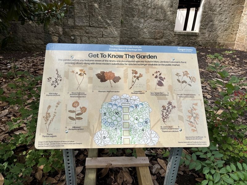 Additional sign showing species found in the floral pressing album. Click for full size. Additional sign showing species found in the floral pressing album image. Click for full size.