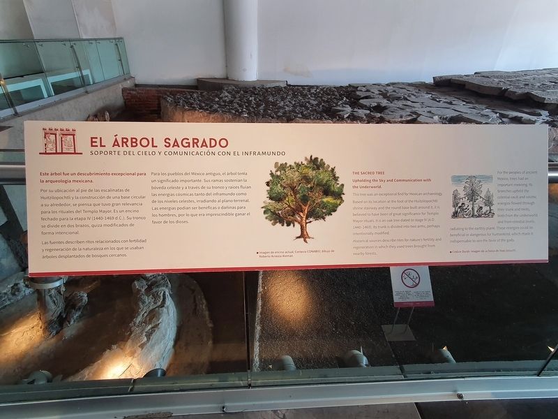 The Sacred Tree Marker image. Click for full size.