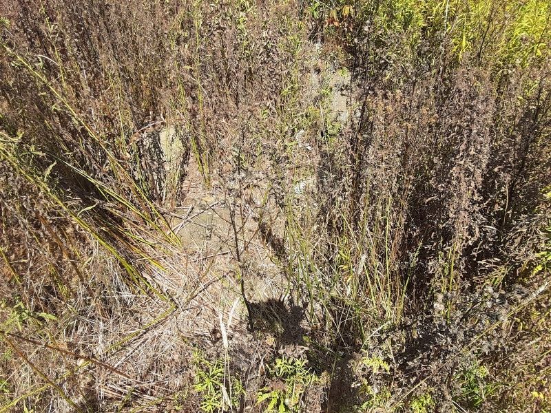 Sugar Bush Raid Marker. Click for full size. Sugar Bush Raid Marker image. Click for full size.