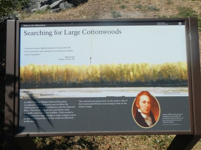 Searching for Large Cottonwood Marker image. Click for full size.