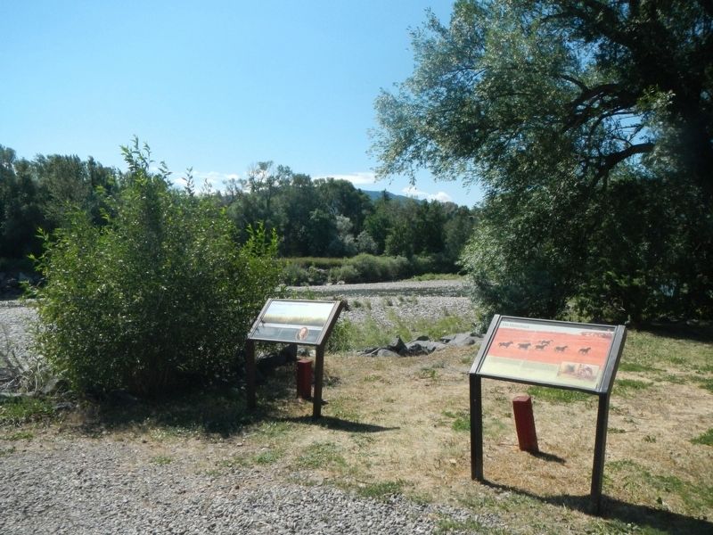 Searching for Large Cottonwood Marker image. Click for full size.