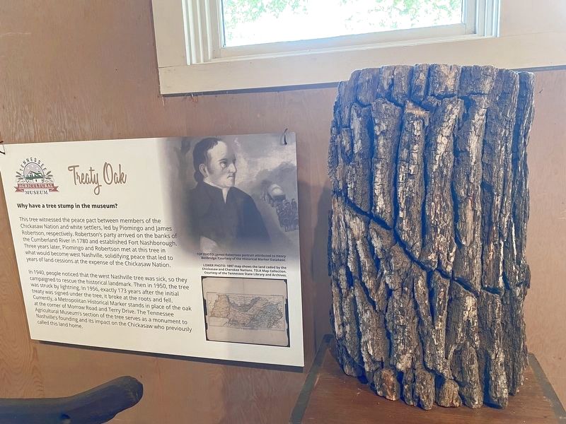 A piece of the treaty oak under which the treaty was signed. image. Click for full size.