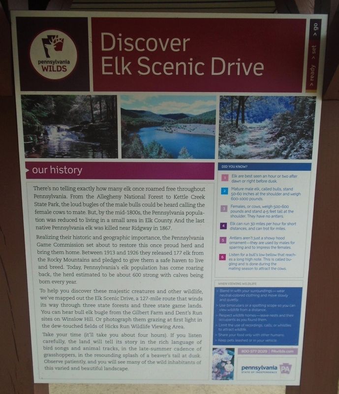 Discover Elk Scenic Drive Marker image. Click for full size.