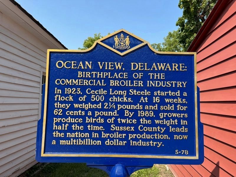 Ocean View Delaware Marker image. Click for full size.