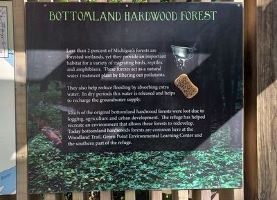 Woodland Trail Marker  Bottomland Hardwood Forest image. Click for full size.
