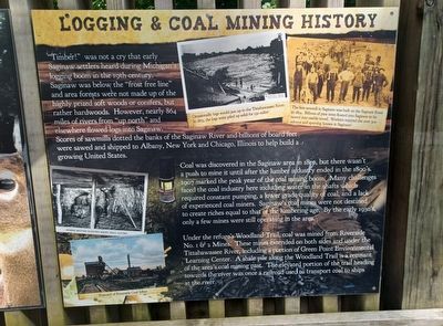 Woodland Trail Marker Logging & Coal Mining History. Click for full size. Woodland Trail Marker Logging & Coal Mining History image. Click for full size.