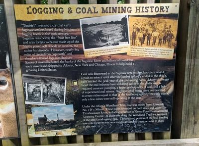Woodland Trail Marker  Logging & Coal Mining History image. Click for full size.