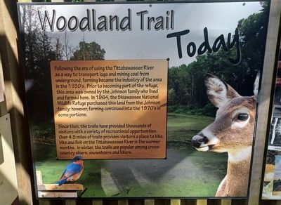 Woodland Trail Marker  Woodland Trail Today image. Click for full size.