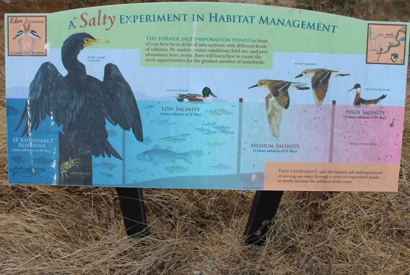 A Salty Experiment in Habitat Management Marker image. Click for full size.