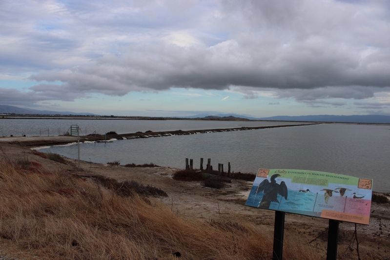 Marker & Salt Ponds image. Click for full size.