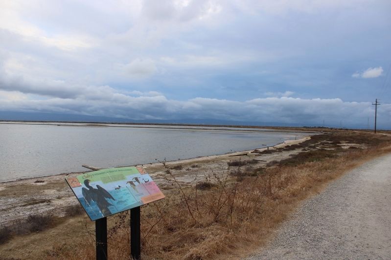 Marker & Salt Ponds image. Click for full size.