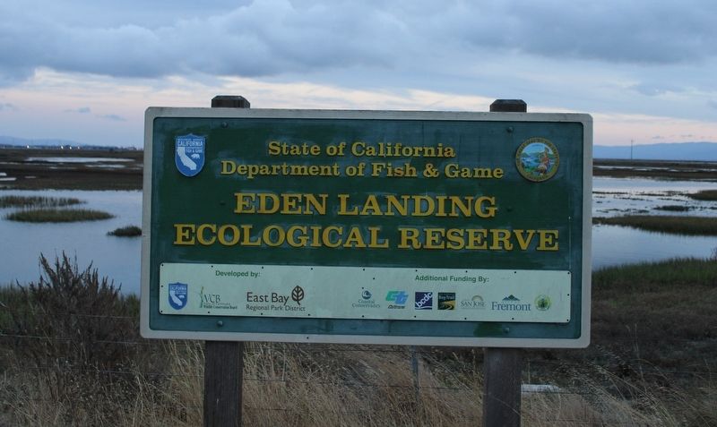 Eden Landing Ecological Reserve image. Click for full size.