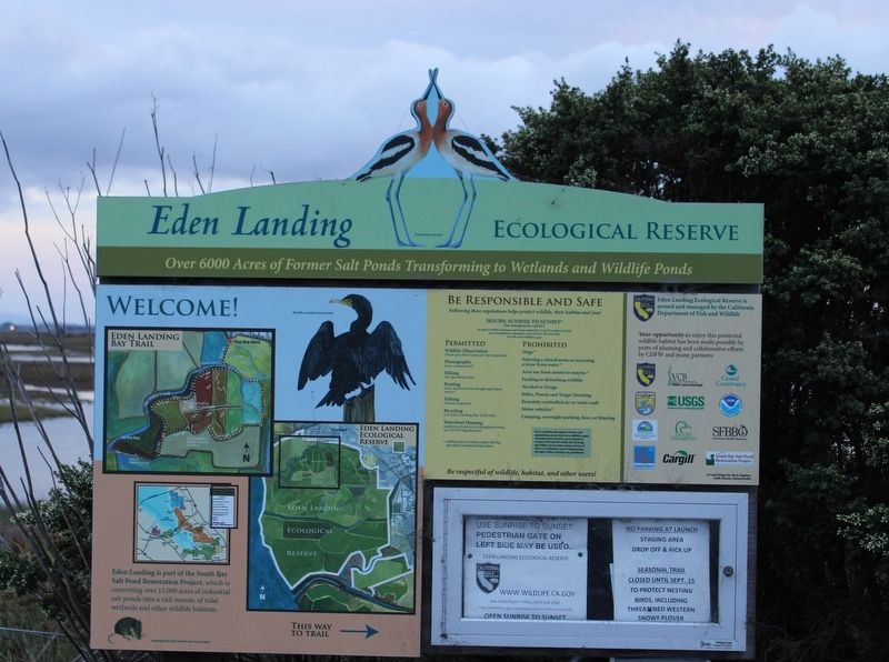 Eden Landing Ecological Reserve Information Board image. Click for full size.