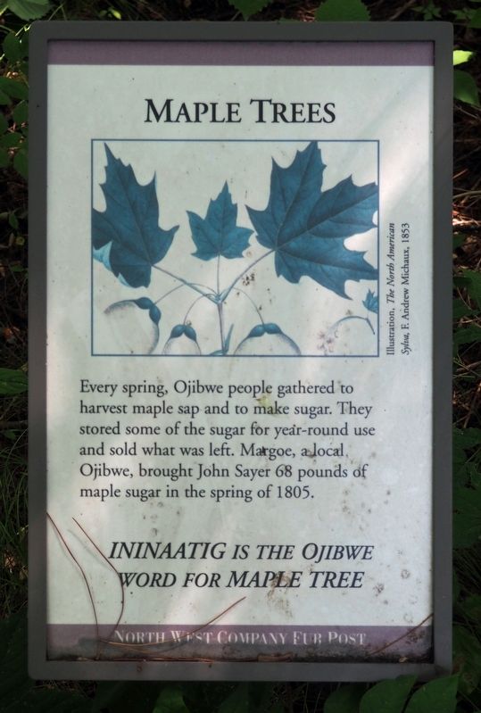 Maple Trees Marker image. Click for full size.