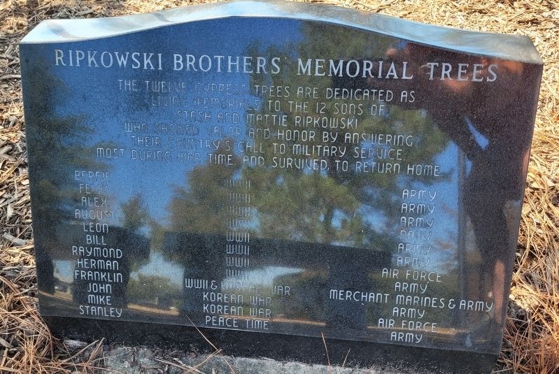 Ripkowski Brothers Memorial Trees Marker image. Click for full size.