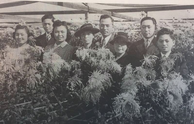 The Nakano Family with Chrysanthemums image. Click for full size.