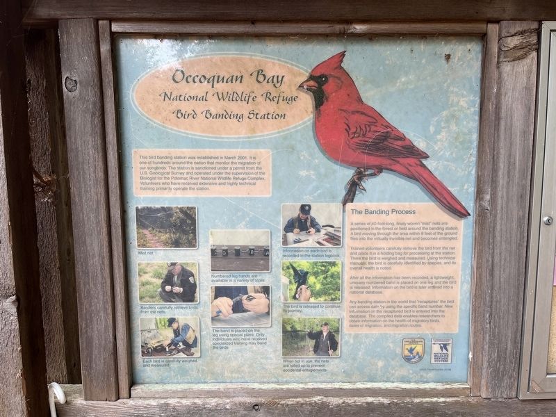 Occoquan Bay National Wildlife Refuge Bird Banding Station Marker image. Click for full size.