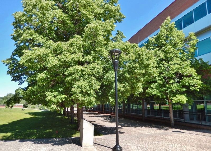 Site of Medicine Hat's First Radio Station Marker. Click for full size. Site of Medicine Hat's First Radio Station Marker image. Click for full size.