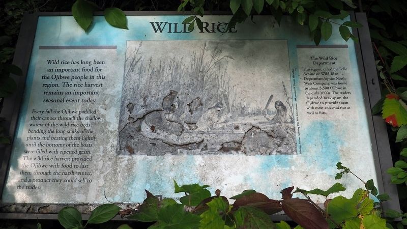 Wild Rice Marker image. Click for full size.