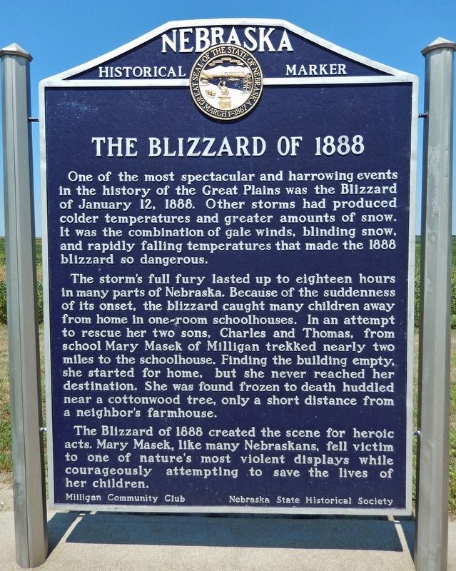The Blizzard of 1888 Marker image. Click for full size.