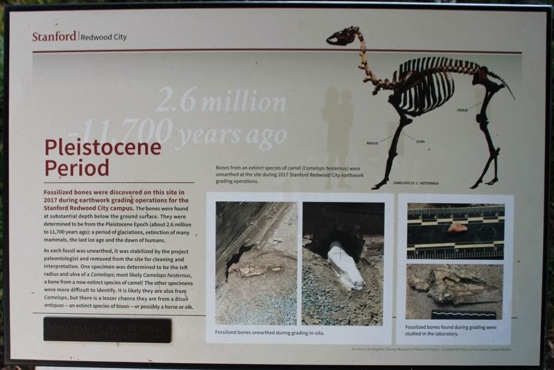 Pleistocene Period Marker. Click for full size. Pleistocene Period Marker image. Click for full size.