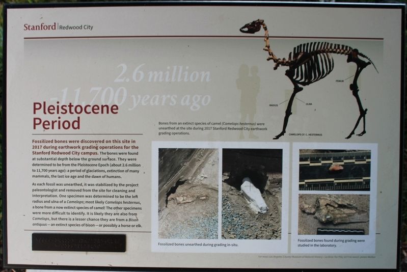 Pleistocene Period Marker image. Click for full size.