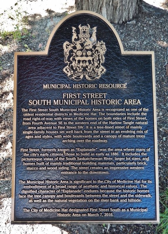First Street South Municipal Historic Area Marker. Click for full size. First Street South Municipal Historic Area Marker image. Click for full size.