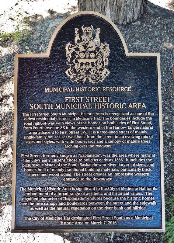 First Street South Municipal Historic Area Marker image. Click for full size.