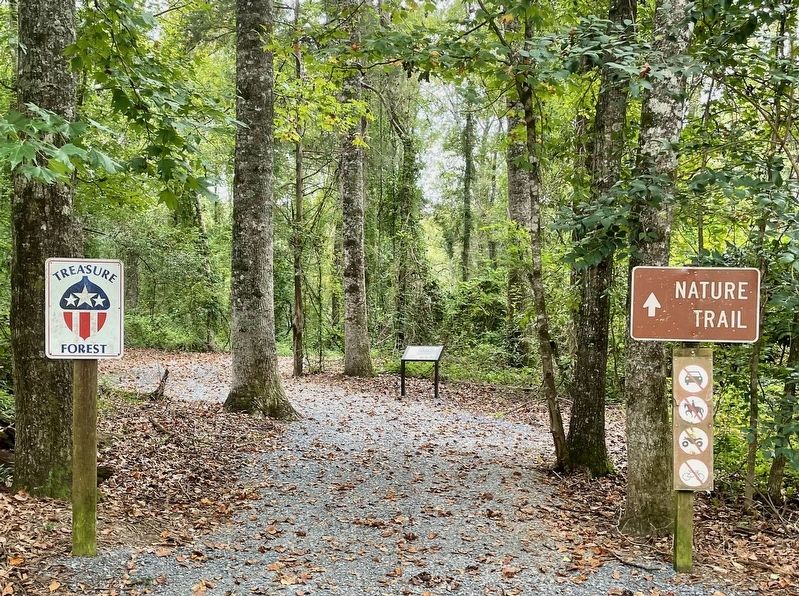 Alabama Forests Marker image. Click for full size.
