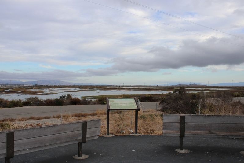 Wetland to Salt Pond and Back Again Marker image. Click for full size.