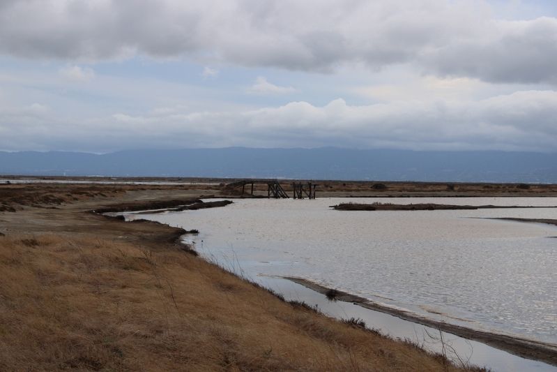 Former Salt Pond Near the Marker image. Click for full size.