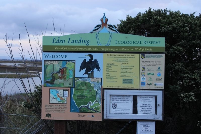 Eden Landing Ecological Reserve Sign image. Click for full size.