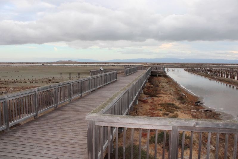 Boardwalk Leading to the Markers image. Click for full size.