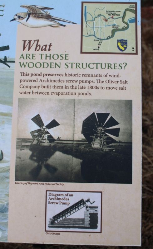 Snowy Plovers Find a Home Marker image. Click for full size.
