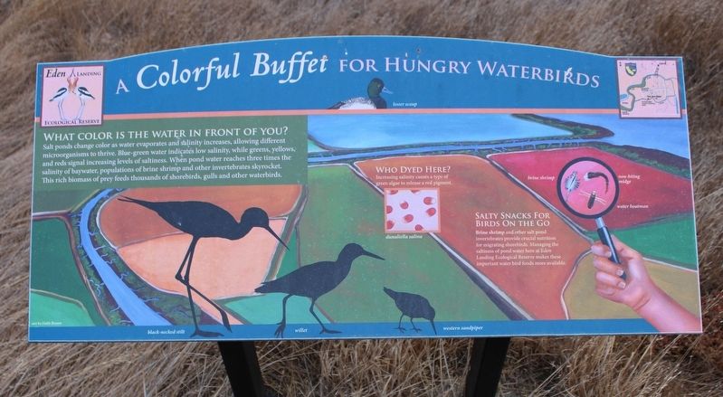A Colorful Buffet Marker image. Click for full size.