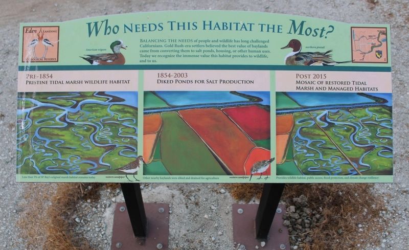Who Needs This Habitat The Most? Marker One image. Click for full size.