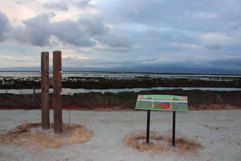 Who Needs This Habitat The Most? Marker One image. Click for full size.