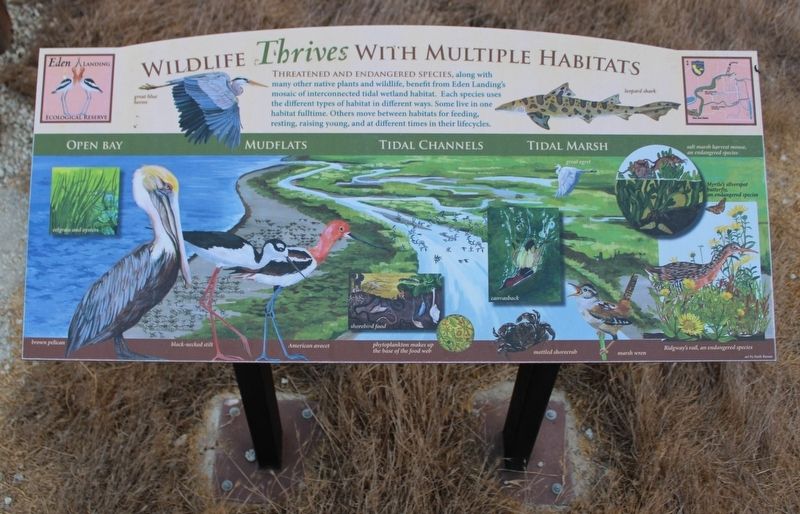 Who Needs This Habitat The Most? Marker Two image. Click for full size.