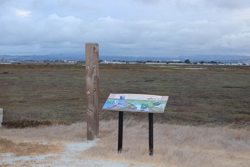 Who Needs This Habitat The Most? Marker Two image. Click for full size.