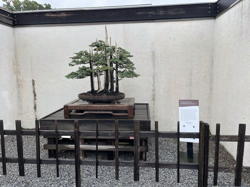 "There are no borders in bonsai�" Marker image. Click for full size.