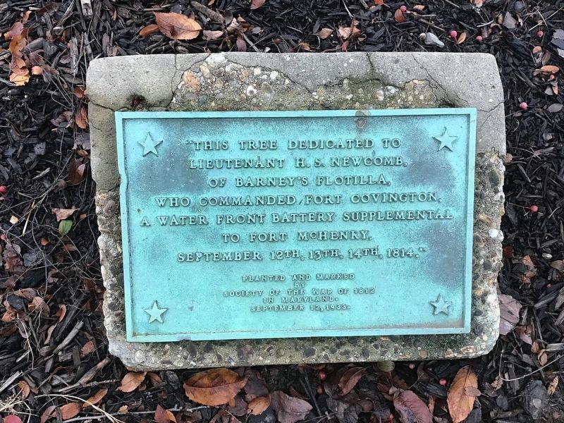 This tree dedicated to lieutenant H.S Newcomb of Barney's Flotilla Marker image. Click for full size.