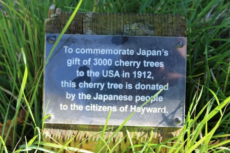 Cherry Tree Marker image. Click for full size.