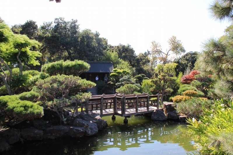 Bridge Over the Koi Pond image. Click for full size.