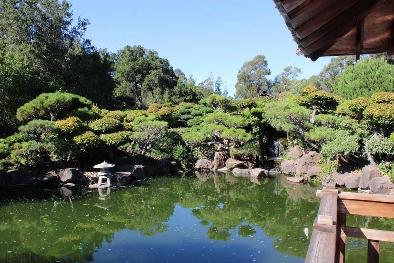 View of the Koi Pond image. Click for full size.